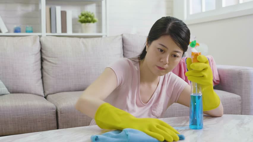 Japanese Video Housewife